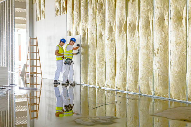 Best Insulation Installation Services in Brownville, NJ